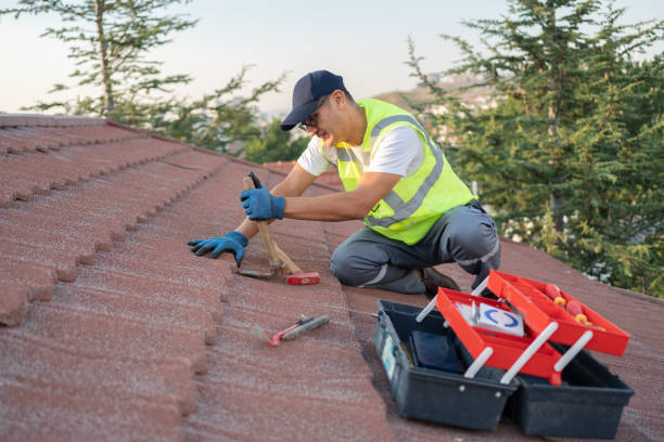 Best Roof Moss and Algae Removal  in Purdy, WA